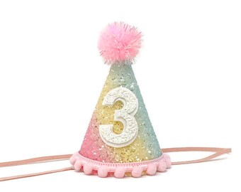 3rd Birthday Girl Party, Girl Photo Prop, Smash Cake Girl, Rainbow Birthday, Add Any Age To This Hat, Rainbow