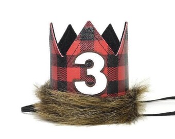 Lumberjack 3rd Birthday Party Hat, Lumberjack Third Birthday Party , Buffalo Plaid Party Hat, Wild One Birthday, Wilderness Party