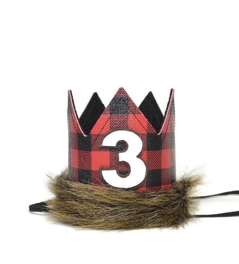 Lumberjack 3rd Birthday Party Hat Lumberjack Third Birthday Etsy
