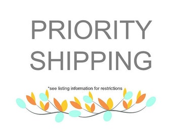 Priority Shipping Upgrade - Domestic Only