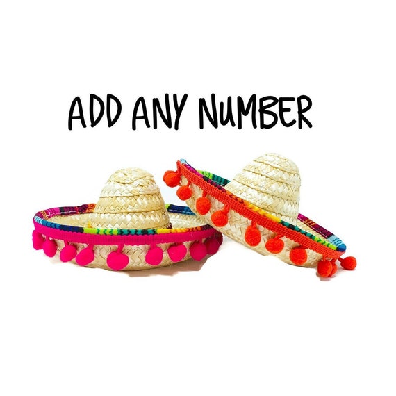 Cinco De Mayo 2nd Birthday Sombrero 