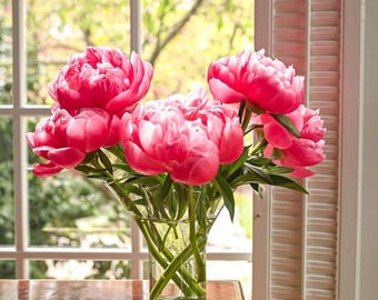 The Original Lettuce Leaf Vase