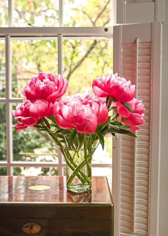 The Original Lettuce Leaf Vase