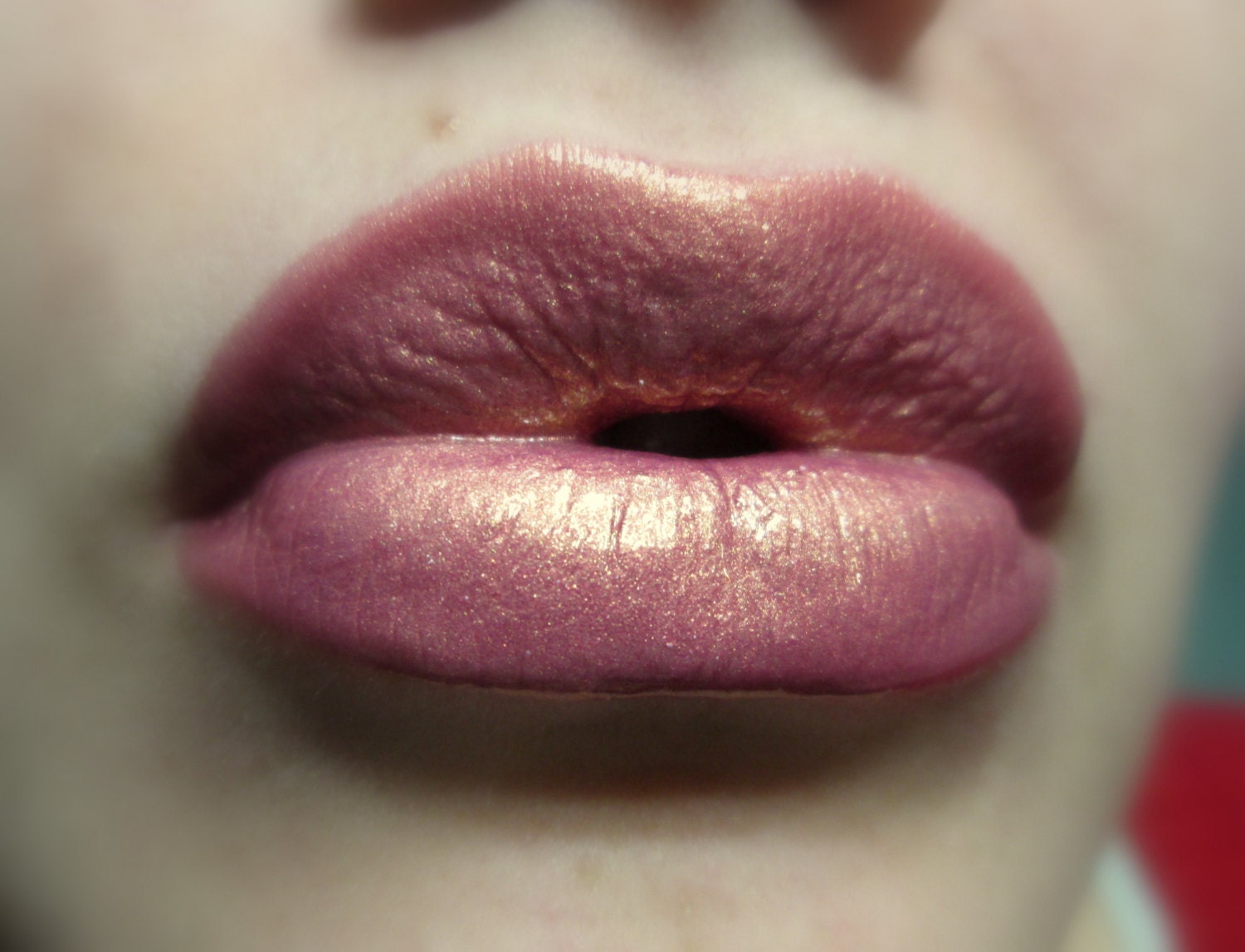 Bronze Fashion Lip Gloss With Blush & - Canvas Print