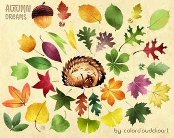 Clipart de feuilles d'automne : Illustration de hérisson (PNG, téléchargement immédiat)