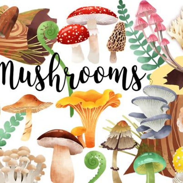Watercolor Mushroom Clipart - Fungi Illustration - Mycology Clipart - Autumn Mushrooms - Commercial and Personal Use - PNG  Instant Download