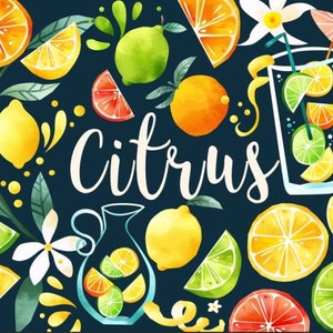 Zitrus Aquarell Zitronen Limette Orange Obst Illustration Clipart - Scheiben - Sommer - Tropisch - Direkter Download PNG, kommerzielle Nutzung