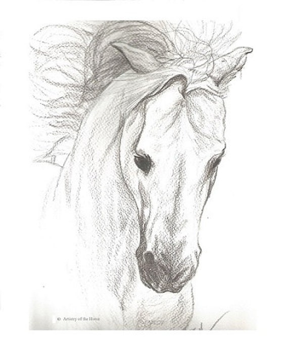 Koń Rysunek Konia Koń Druku Rysunek Ołówek Rysunek Ołówek Print Rysunek Wystrój Konia Western Decor Country Decor 9 X 12