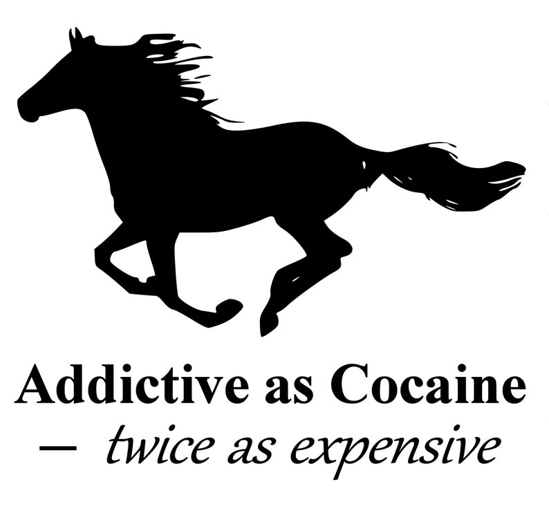 Horse Horse Truck Decal Truck Decal Horse Quote Auto Etsy