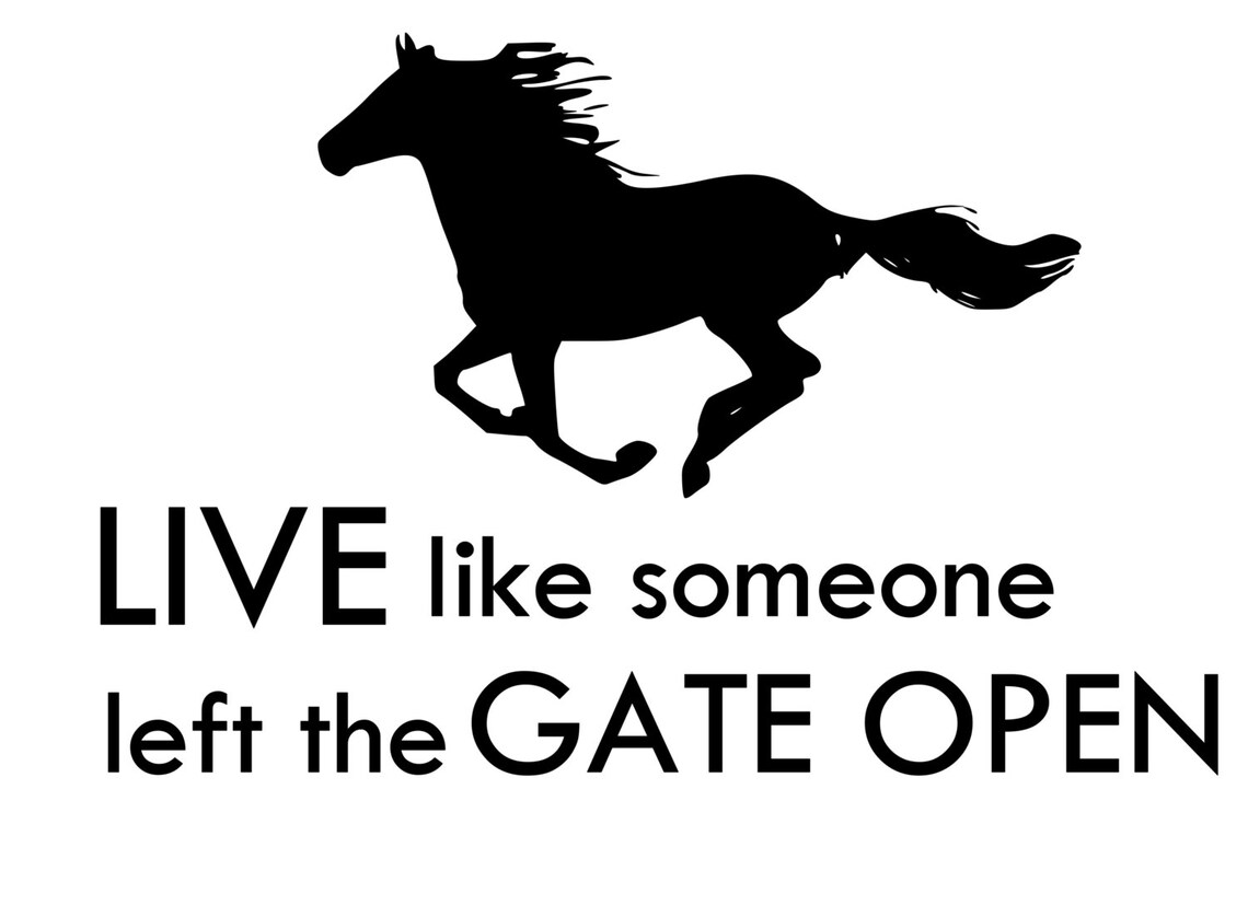 Horsehorse Quote horse Wall Decalhorse Stickerhorse Etsy