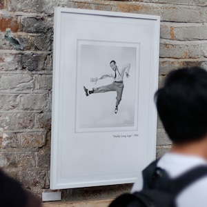 Fred Astaire &quot;Daddy Long Legs&quot; Movie Poster | Hollywood Musical Print (Unframed)