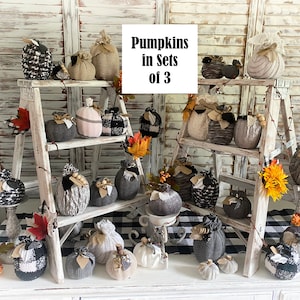 May include: A collection of gray, white, and black fabric pumpkins arranged on white wooden ladders and a white table with a black and white checkered tablecloth. The sign reads "Pumpkins in Sets of 3".