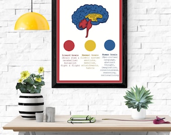 Socio-emotional resources for kids | mental health tools, lizard brain, learning flip your lid bundle