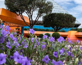 Imagination Pavilion with flowers - Print or Vivid Metal