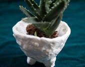 Handmade Succulent Holder Miniature Planter