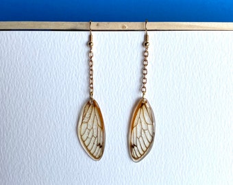 Cicada wing earrings resin embedded insect wing jewelry delicate transparent light fairy earrings quirky indie aesthetic style from Brood X