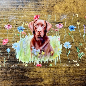 Könnte beinhalten: Illustration eines braunen Labrador Retrievers, umgeben von bunten Wildblumen, darunter Gänseblümchen, Mohnblumen und Lavendel. Der Hund ist in einem grasbewachsenen Bereich vor einem rustikalen Holzgrund platziert.