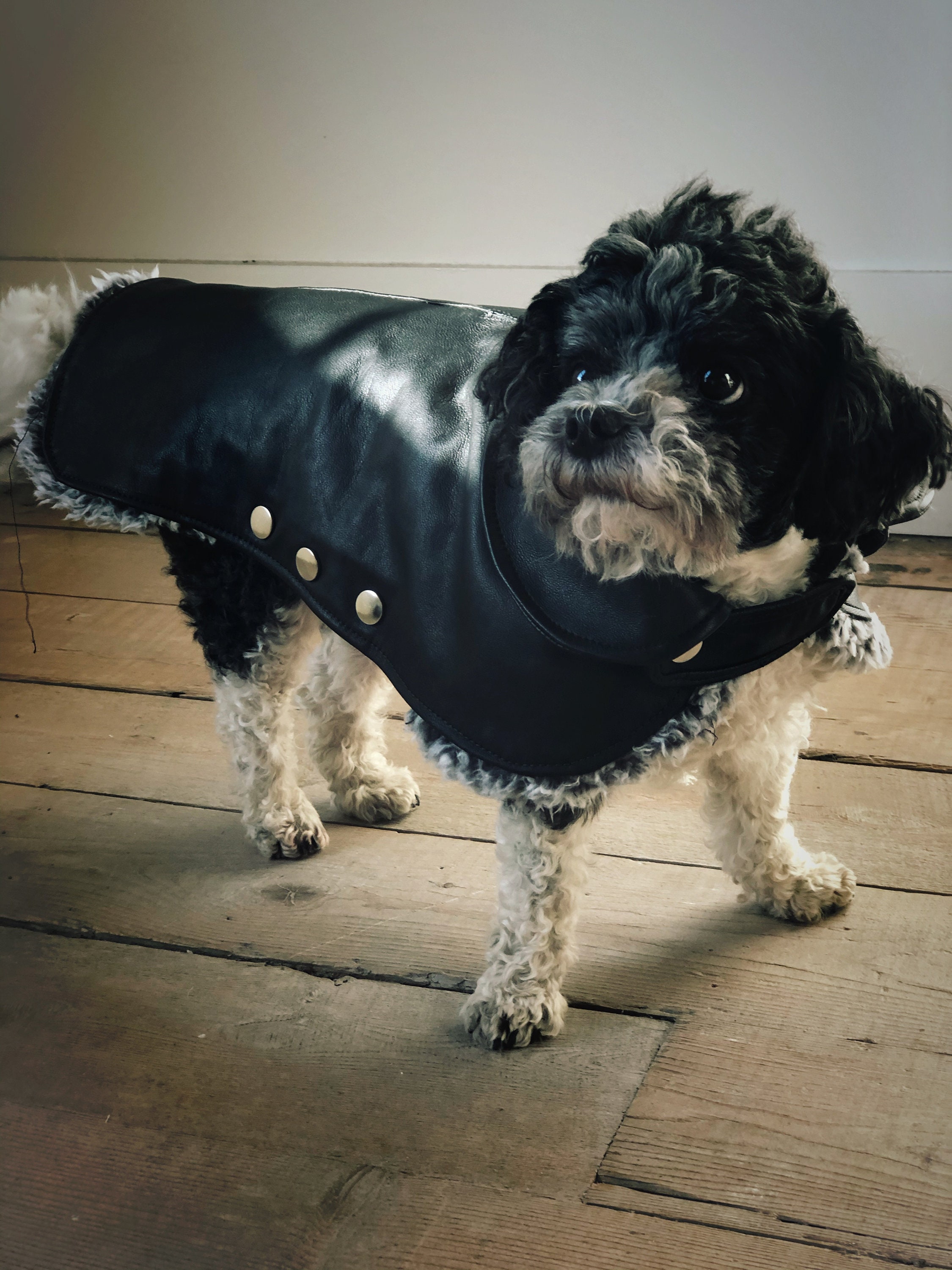 Leather Dog Coat Removable Liner Small Dog Jacket Dog Jacket Etsy
