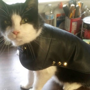 leather dog or cat jacket