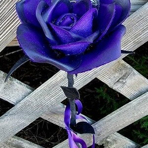Baltimore Ravens Rose, NFL rose, NFL gift for her, Sports themed roses
