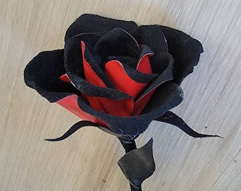 Black Beauty Rose, True Blood Rose, Dracula Rose, Black and Red Rose, Blood Rose