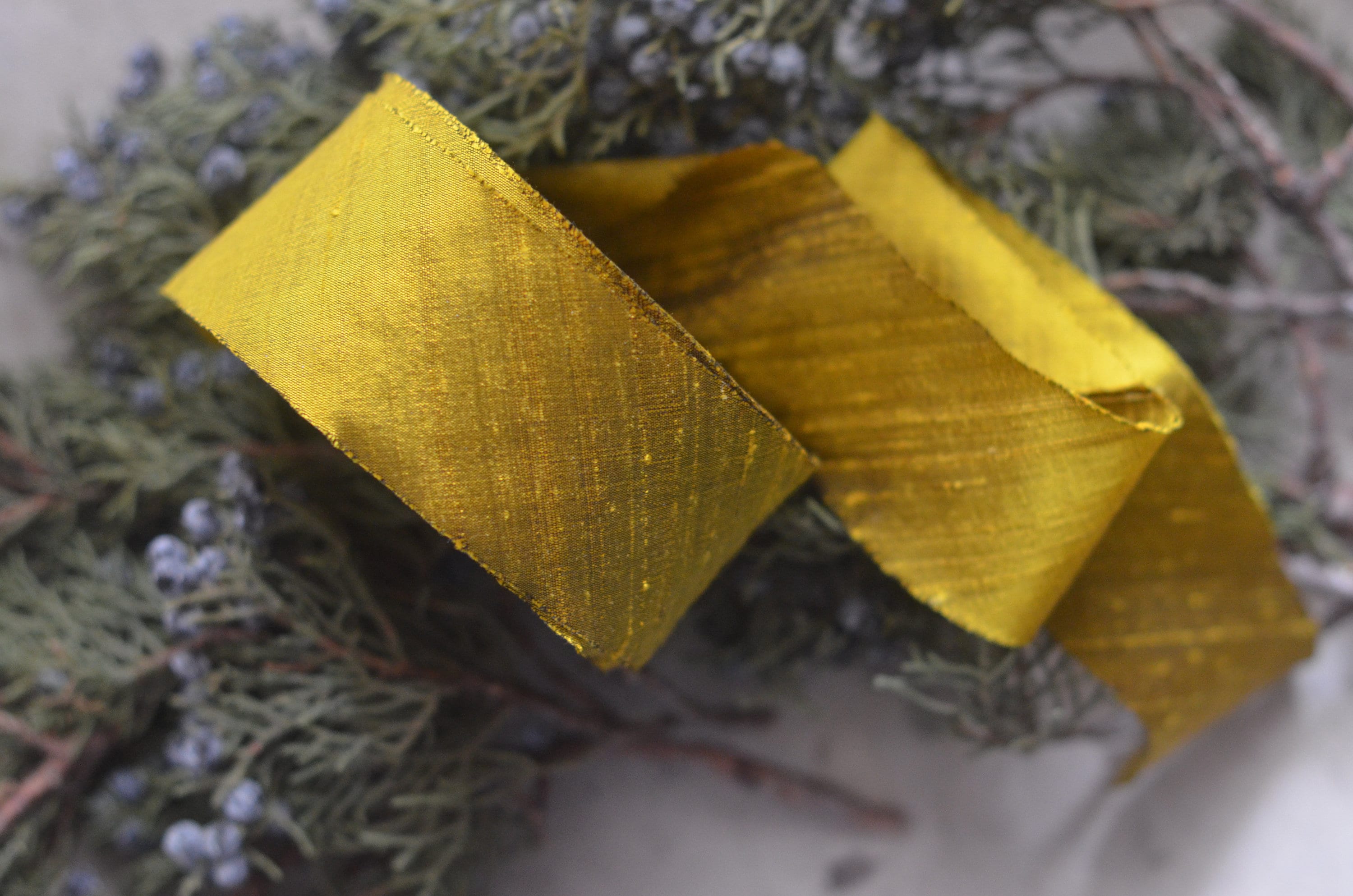 gold chartreuse dupioni 2" silk ribbon