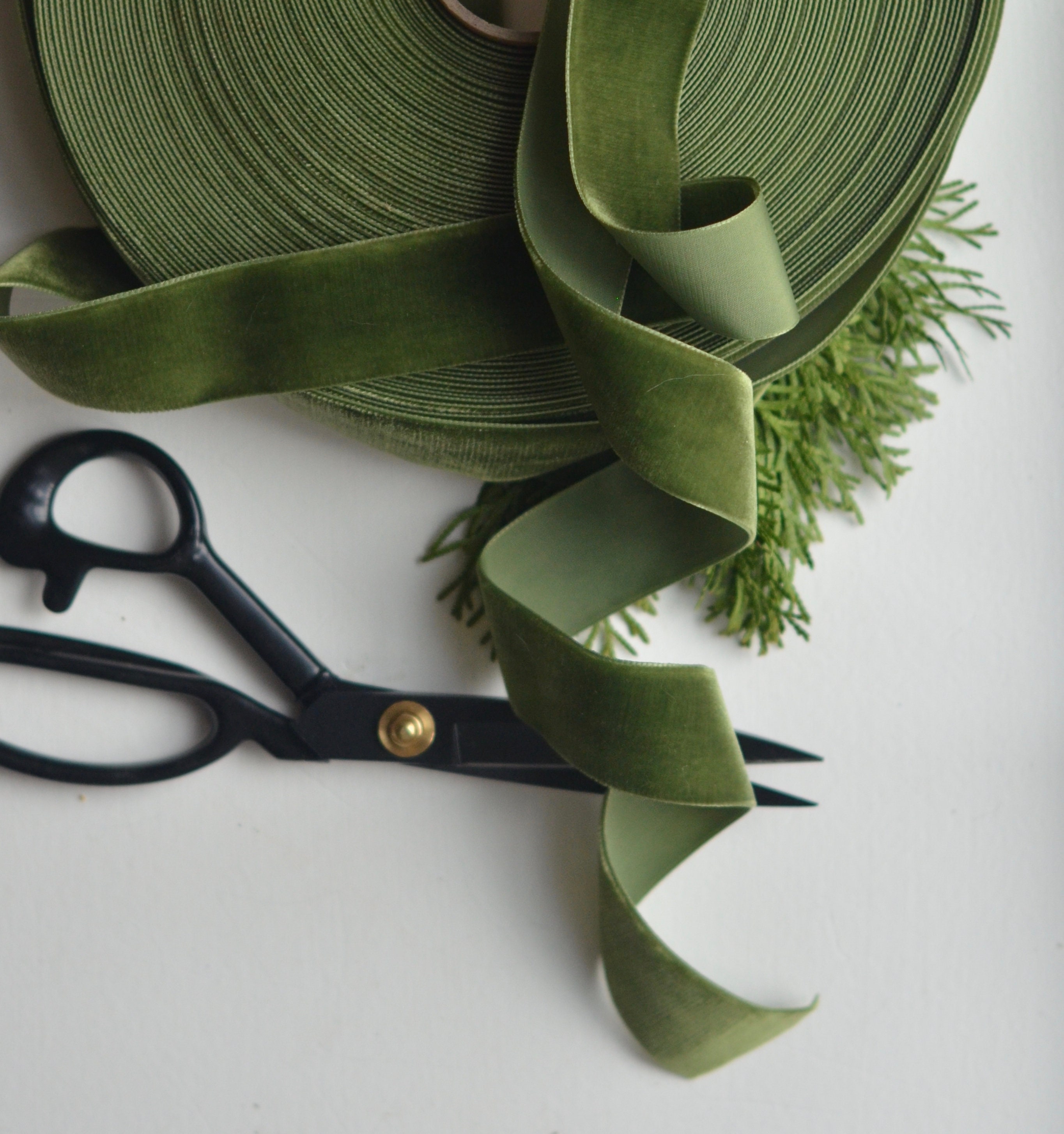 Olive green ribbon with fringes on one side - Applique - lace