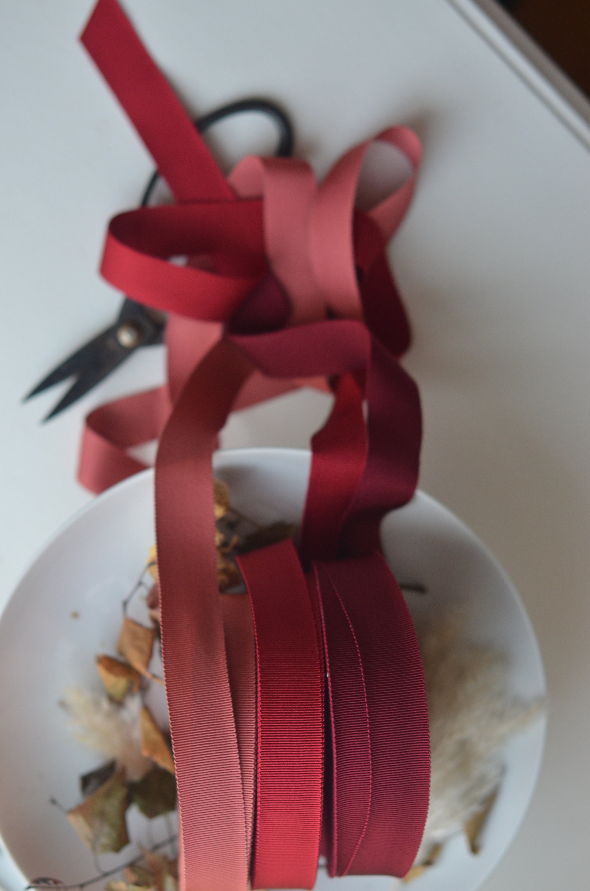 Burgundy Petersham 1