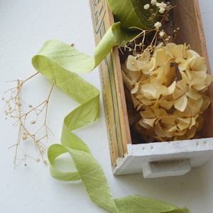 light celery sage dupioni 3/4&quot; silk ribbon