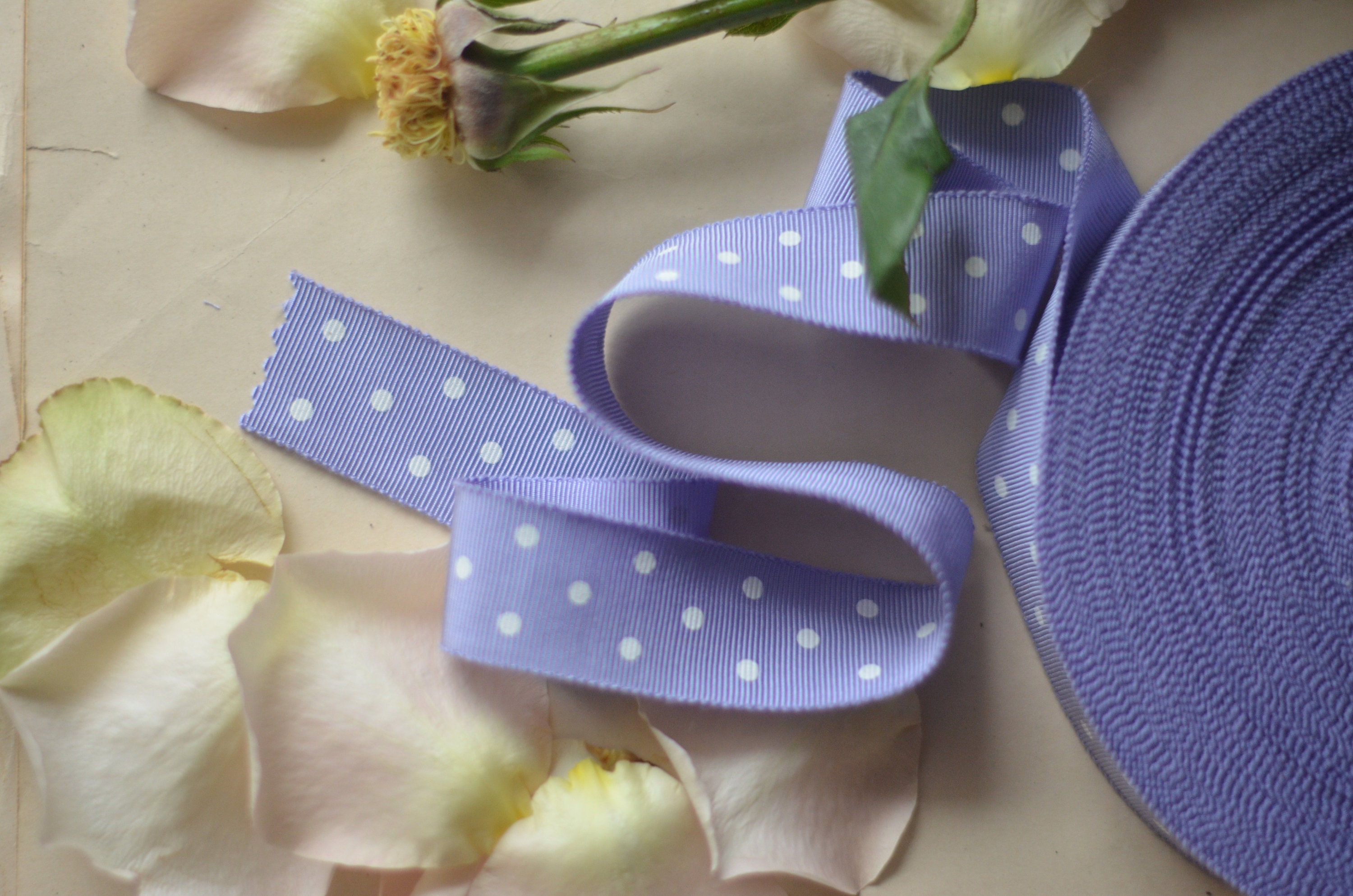 Lavender polka dot grosgrain ribbon | Etsy