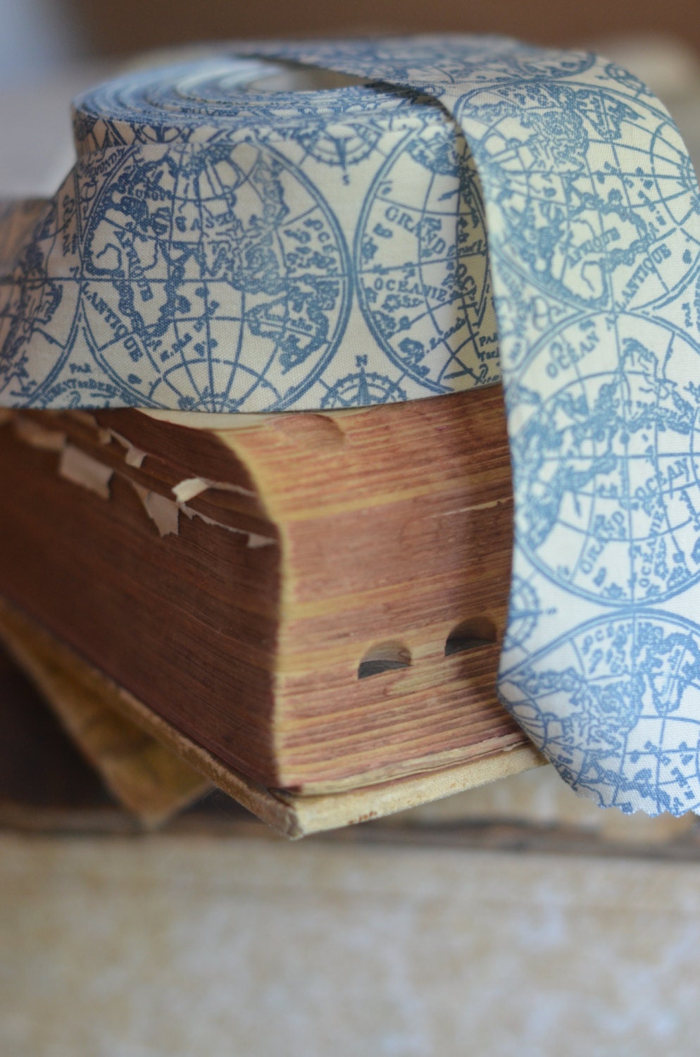 Vintage Map 2