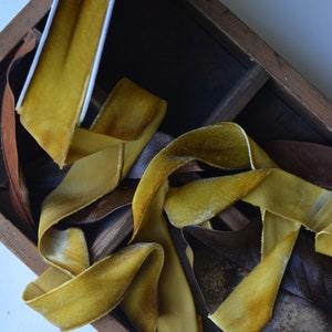 tobacco yellow 1 1/2&quot; hand dyed silk velvet