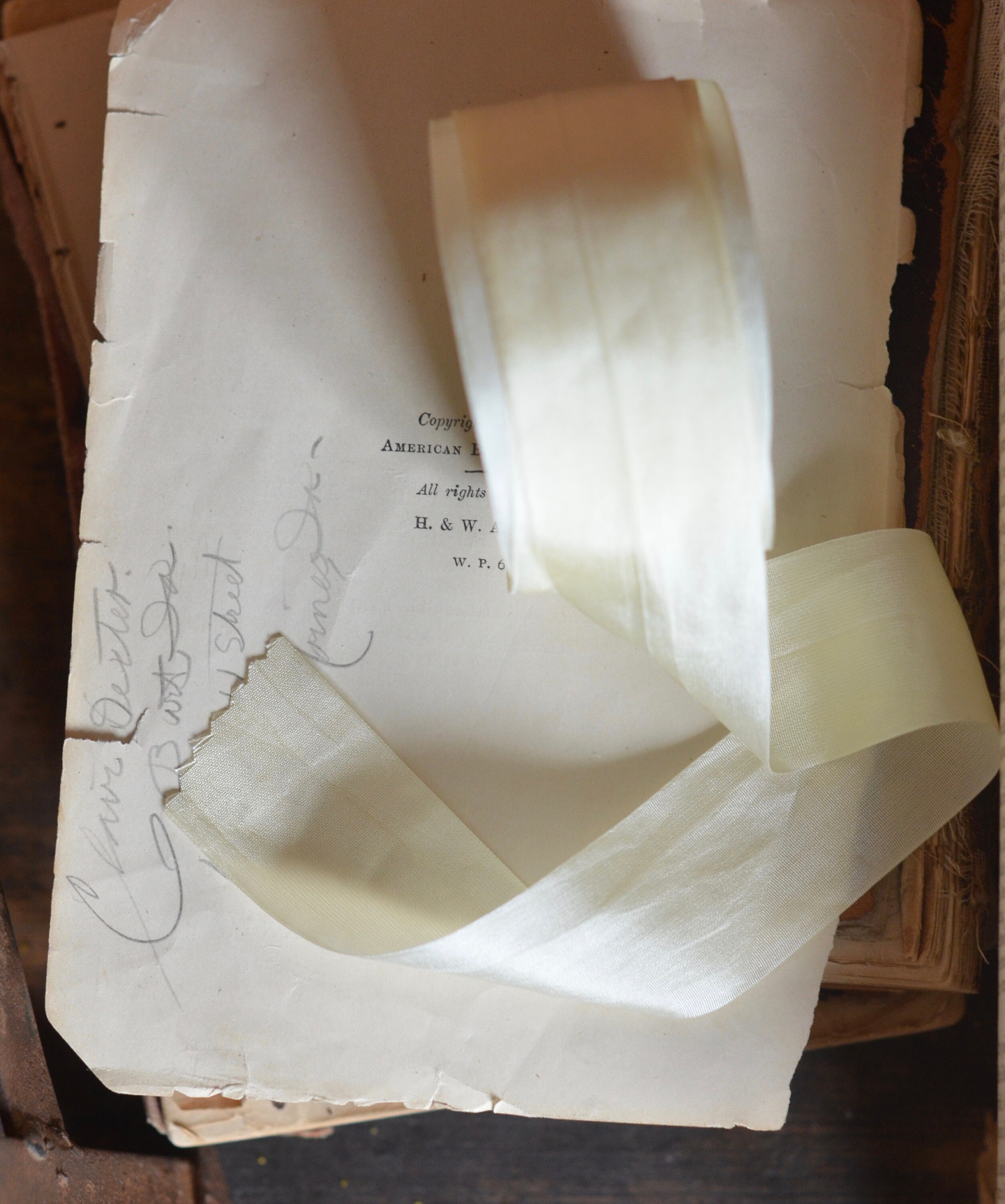 light yellow buttercream silk ribbon