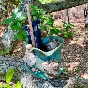 May include: A teal ceramic pen holder decorated with seashells and small rocks. The holder contains pens and a pencil. The text "Shorefire Pottery" is visible on one of the pens. The holder is resting on a tree branch.