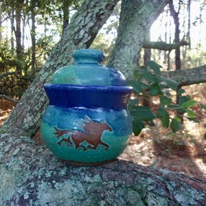 May include: A ceramic jar with a lid, featuring a horse design. The jar has a turquoise, blue, and dark blue color scheme. The jar is sitting on a tree branch in a natural outdoor setting.