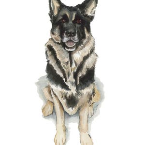 Pet Portrait Watercolor Pet Portrait Original Painting Custom Watercolor Pet Portrait Illustration image 6