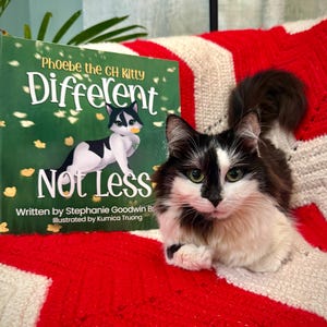 Nicht weniger anders