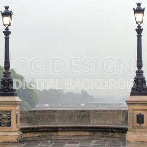 Paris Bridge, Pont Neuf, Digital Backdrop Photographer Composites, Digital Background for Photoshop, Composite Photography