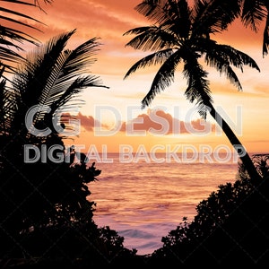 Tropical Beach Sunset Silhouette, Digital Backdrop Photographer Composites, Digital Background for Photoshop, Composite Photography