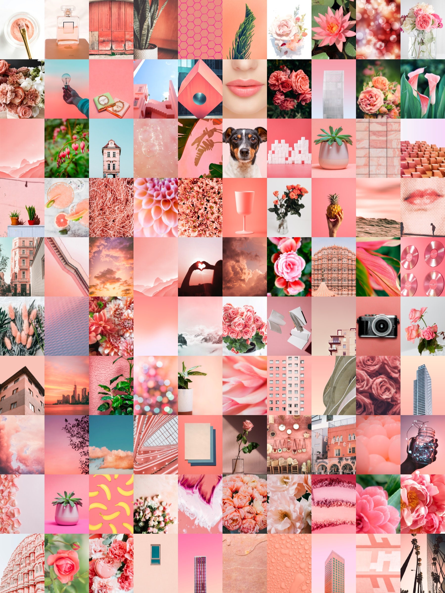 Pink Coral Salmon Aesthetic Wall Collage Kit / Descarga digital / Photo