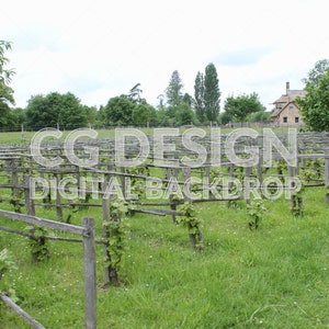 Versailles The Queen&#39;s Hamlet Vineyard, Digital Backdrop Photographer Composites, Digital Background for Photoshop, Composite Photography