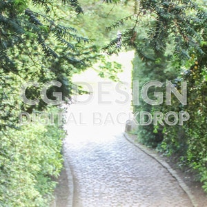 Trees and Pathway, Digital Backdrop Photographer Composites, Digital Background for Photoshop, Composite Photography