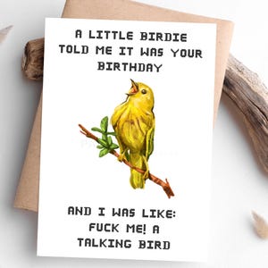 Puede incluir: Tarjeta de cumpleaños con una ilustración de un pájaro amarillo posado en una rama. La tarjeta tiene el texto "A LITTLE BIRDIE TOLD ME IT WAS YOUR BIRTHDAY" y "AND I WAS LIKE: FUCK ME! A TALKING BIRD". La tarjeta está sobre un sobre marrón.