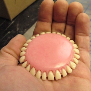 Può includere: Una protesi dentaria in plastica rosa e bianca con un set completo di denti.