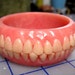 see more listings in the Denture-Inspired Items section