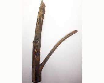 Lake Superior Driftwood Piece #12 Wall decor, Beach decor, DIY decor