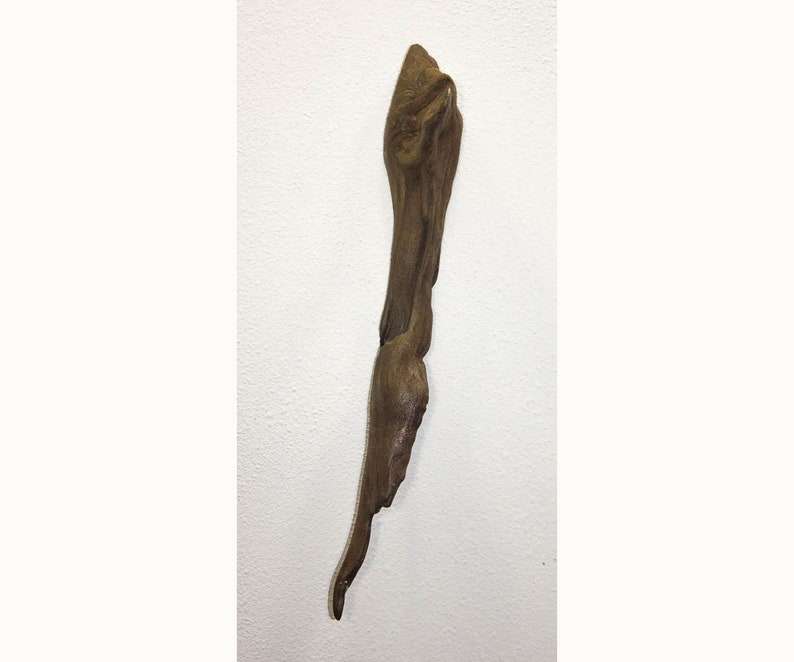 Lake Superior Driftwood Piece 66 Wall decor, Beach decor, DIY decor image 1