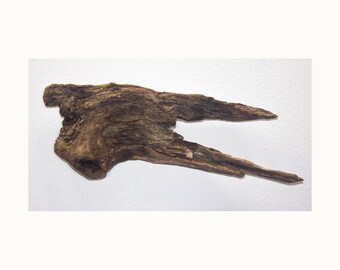 Lake Superior Driftwood Piece #59 Wall decor, Beach decor, DIY decor