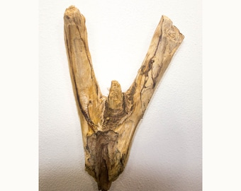 Lake Superior Driftwood Piece #26 - Wall decor, Beach decor, DIY decor