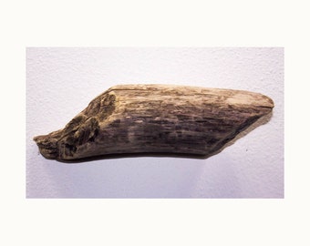 Lake Superior Driftwood Piece #36 Wall decor, Beach decor, DIY decor